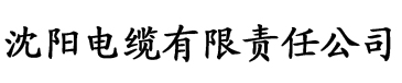 91香蕉视频综合电缆厂logo